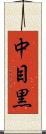 中目黒 Scroll