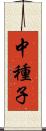 中種子 Scroll