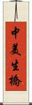 中美生橋 Scroll