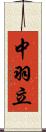 中羽立 Scroll