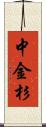 中金杉 Scroll