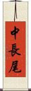 中長尾 Scroll