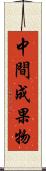 中間成果物 Scroll