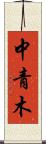 中青木 Scroll