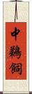 中鵜飼 Scroll