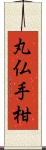 丸仏手柑 Scroll