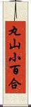 丸山小百合 Scroll