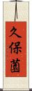 久保薗 Scroll