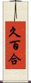 久百合 Scroll