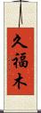 久福木 Scroll