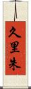久里朱 Scroll