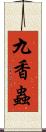 九香蟲 Scroll