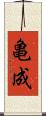 亀成 Scroll