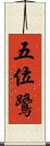 五位鷺 Scroll