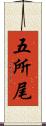 五所尾 Scroll