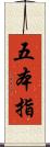 五本指 Scroll