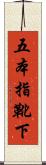 五本指靴下 Scroll