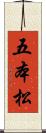 五本松 Scroll