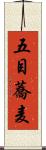 五目蕎麦 Scroll