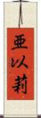 亜以莉 Scroll
