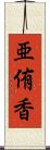 亜侑香 Scroll