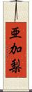 亜加梨 Scroll