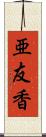 亜友香 Scroll