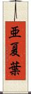亜夏葉 Scroll