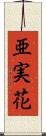 亜実花 Scroll