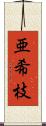 亜希枝 Scroll