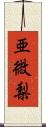 亜微梨 Scroll