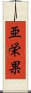 亜栄果 Scroll