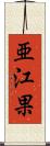 亜江果 Scroll