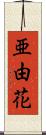 亜由花 Scroll