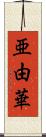 亜由華 Scroll