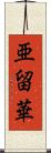 亜留華 Scroll