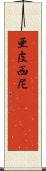 亜皮西尼(ateji) Scroll