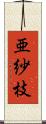 亜紗枝 Scroll