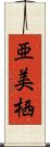 亜美栖 Scroll