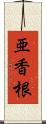 亜香根 Scroll