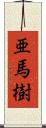 亜馬樹 Scroll