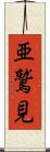 亜鷲見 Scroll
