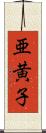 亜黄子 Scroll