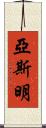 Yasmin Scroll