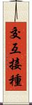 交互接種 Scroll