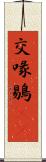 交喙 Scroll