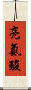 亮氨酸 Scroll