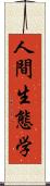 人間生態学 Scroll