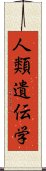 人類遺伝学 Scroll