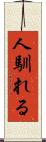 人馴れる Scroll